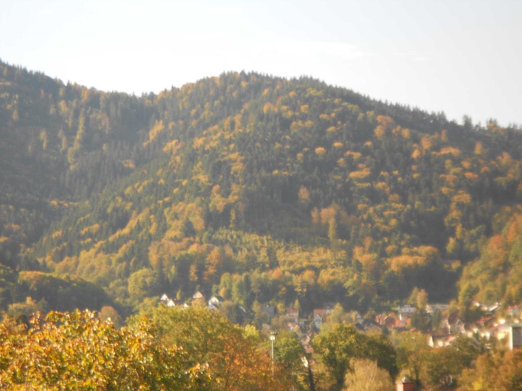 Apartment Quartier 1 Freiburg im Breisgau